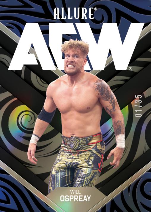 2026 Upper Deck Allure AEW Wrestling Guide in-content 1