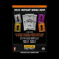 2025 Panini Instant WNBA Drip Basketball Checklist Guide