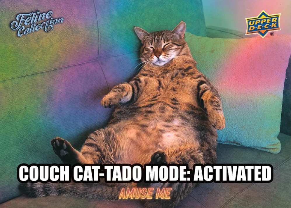 2026 Upper Deck Feline Collection Guide in-content 4