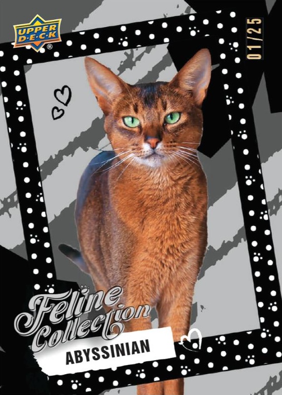 2026 Upper Deck Feline Collection Guide in-content 3
