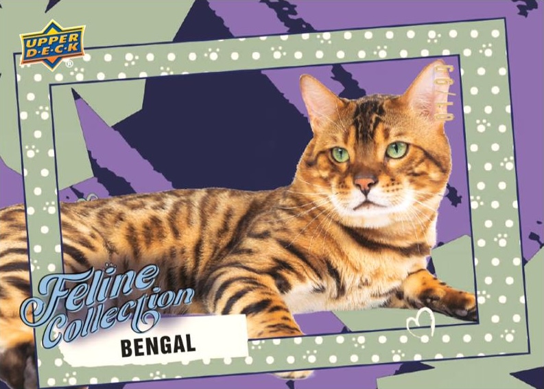 2026 Upper Deck Feline Collection Guide in-content 2