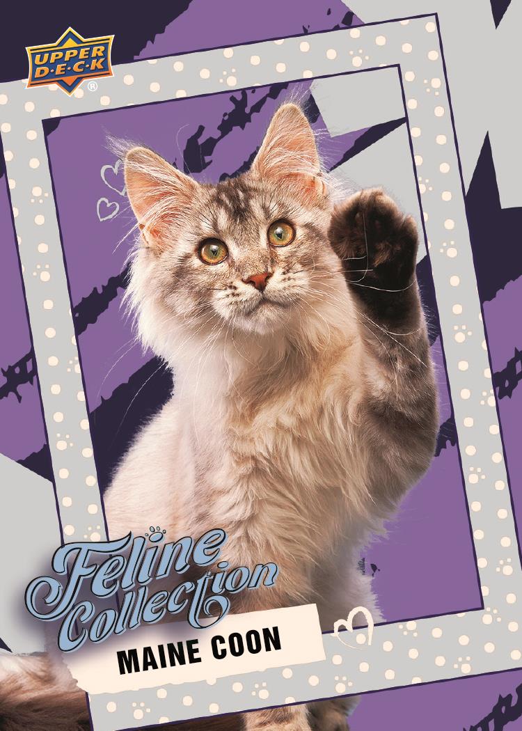 2026 Upper Deck Feline Collection Guide in-content 1