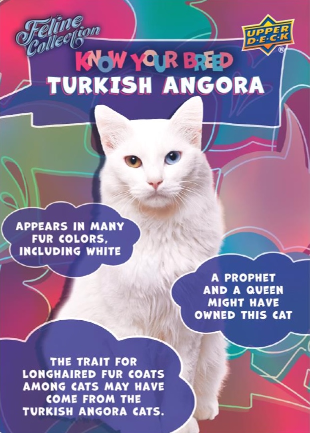 2026 Upper Deck Feline Collection Guide in-content 5