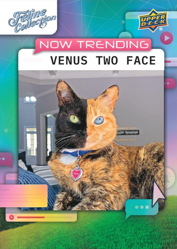 2026 Upper Deck Feline Collection Guide in-content 8